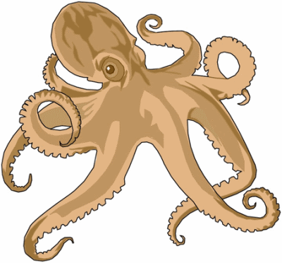 Octopus