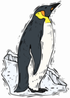 Emperor Penguin