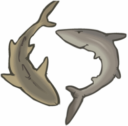 Sharks