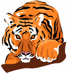 Tigers