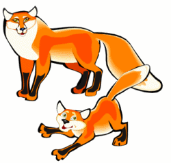 Foxes