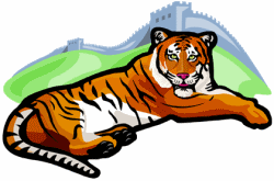 Tigers