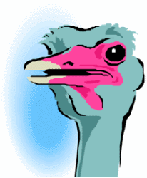 Ostrich