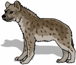 Hyenas