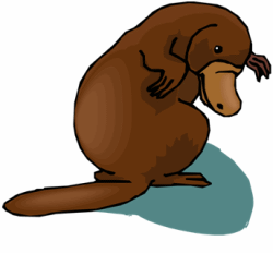 Platypus