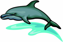 Dolphins