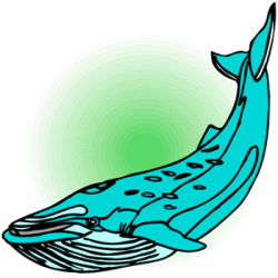 Blue Whales