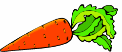 Carrot