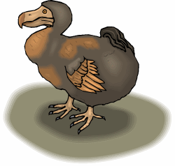 Dodo