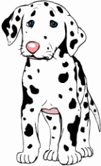 Dalmatian