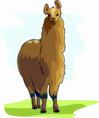 Alpaca