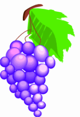 Grapes