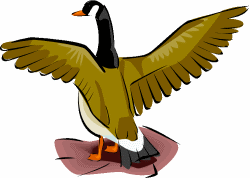 Goose