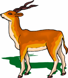 Gazelle