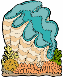 Giant Clam