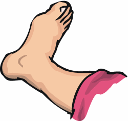 Ankle