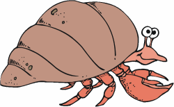 Hermit Crab