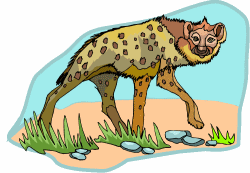 Hyena