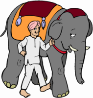 Indian Elephant