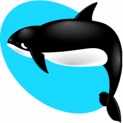 Killer Whale