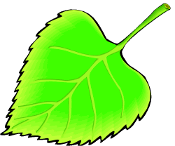 Leaf