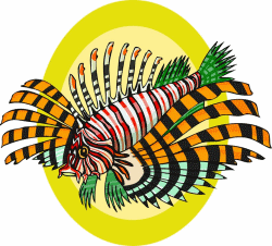 Lionfish