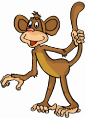 Monkey