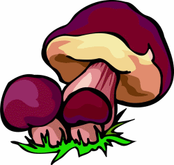 Mushroom