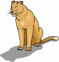 Mountain Lion