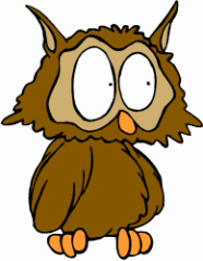 Mopoke Owl