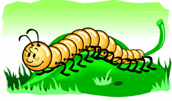 Millipede