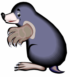 Mole