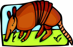 Armadillo