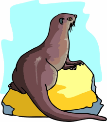 Otter