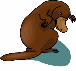 Platypus