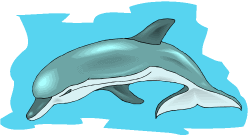 Porpoise