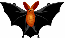 Bat