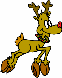 Reindeer