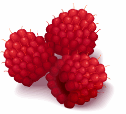 Raspberry