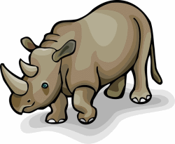 Rhinoceros