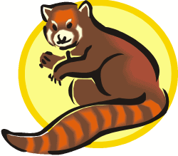 Red Panda