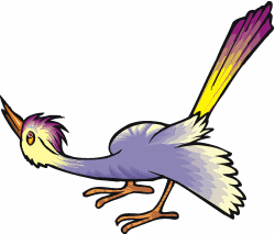 Roadrunner