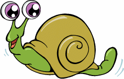 Snail