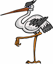 Stork