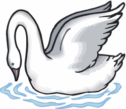 Swan