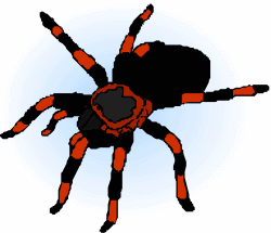 Tarantula