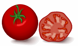 Tomato