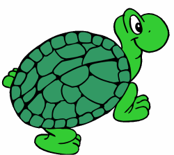 Turtle