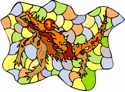 Thorny Devil