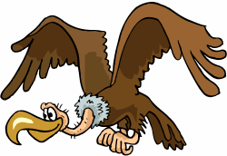 Vulture